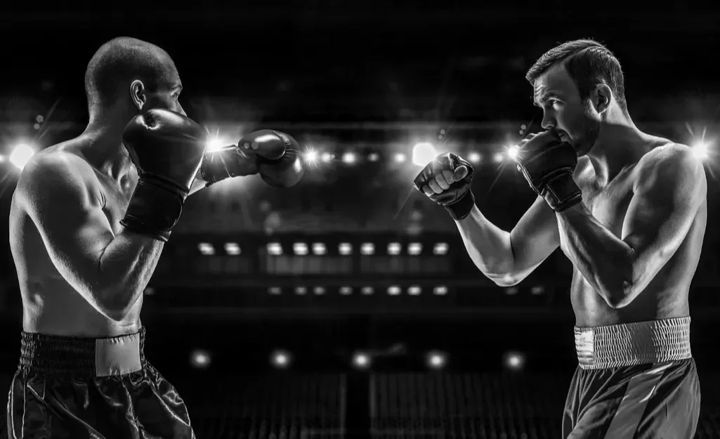 Fight Performance